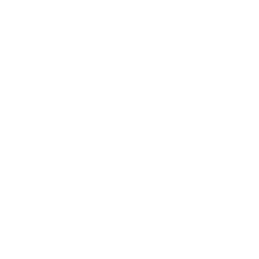 Porisch Maschinenbau | Schaeffler-Logo mit deutschem Text rund 150 Maschinen in der 3. Schicht.